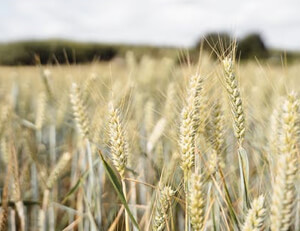 小火箭shadowrocket节点:win10控制面板闪退怎么修复 win10控制面板闪退解决方法